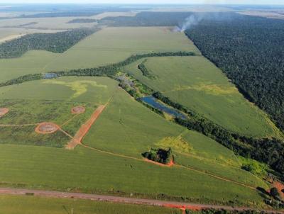 Fazenda para Venda, em Brasnorte, bairro Rural