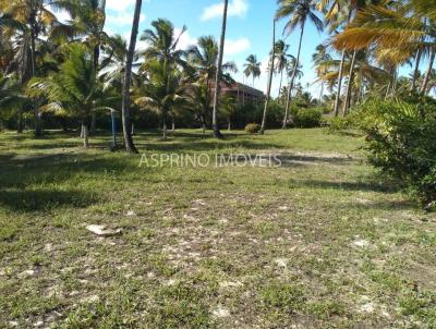 Terreno em Praia para Venda, em Ilhus, bairro Mamo