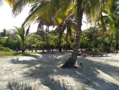 Terreno em Praia para Venda, em Ilhus, bairro Mamo