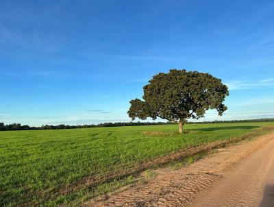 Fazenda para Venda, em Paranatinga, bairro Rural