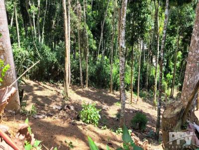 Lote em Condomnio Fechado para Venda, em Terespolis, bairro Barra Do Imbu