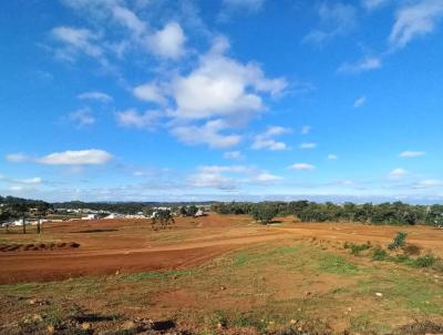 Terreno para Venda, em Erechim, bairro Bairro Esperana