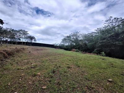 Terreno em Condomnio para Venda, em Manaus, bairro Ponta Negra