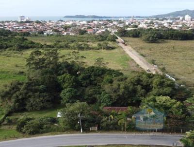 Terreno para Venda, em Penha, bairro Nossa Sra Ftima