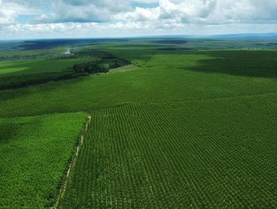 Fazenda para Venda, em Contagem, bairro Eldorado