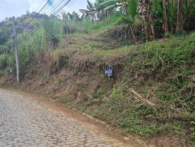 Terreno para Venda, em Bom Jardim, bairro 