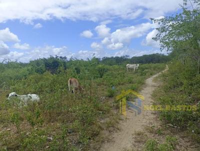 rea para Venda, em Santo Estevo, bairro Caboclo