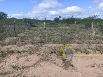 Lote para Venda, em Santo Estevo, bairro novo