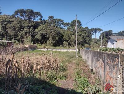 Terreno para Venda, em Tijucas do Sul, bairro Campo Alto