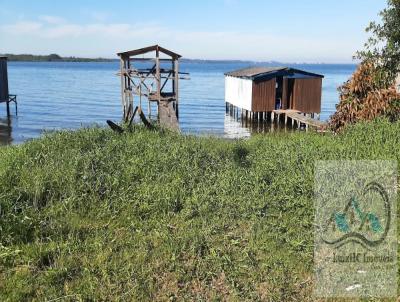 Terreno para Venda, em Imaru, bairro Centro