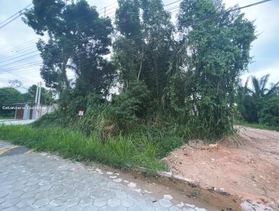 Terreno para Venda, em Caraguatatuba, bairro Jardim das Gaivotas