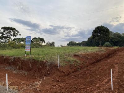 Terreno para Venda, em Erechim, bairro Esperana