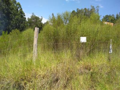 Terreno para Venda, em Serto Santana, bairro .