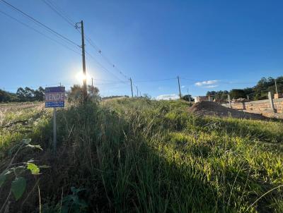 Imveis Vendidos para Venda, em Serto Santana, bairro .