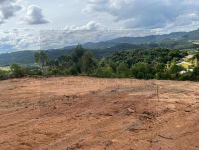 Terreno para Venda, em Serto Santana, bairro .