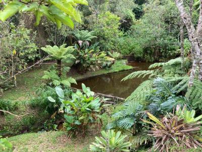 Stio para Venda, em Nova Friburgo, bairro So Loureno, 3 dormitrios, 1 banheiro