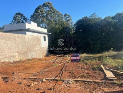 Terreno Urbano para Venda, em Santa Rosa, bairro Central