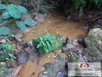 Terreno para Venda, em Piedade, bairro Ortizes