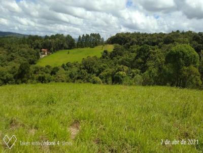 rea Rural para Venda, em Ibina, bairro Lageadinho