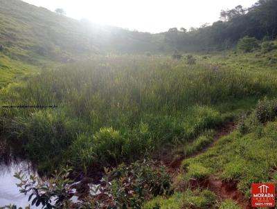 Stio para Venda, em Santana de Cataguases, bairro Trevo