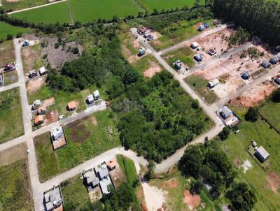 Lote para Venda, em Cricima, bairro Linha Anta