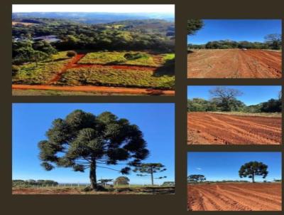 Terreno para Venda, em Erechim, bairro Esperana