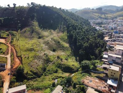 Stio para Venda, em Ervlia, bairro Bela Vista