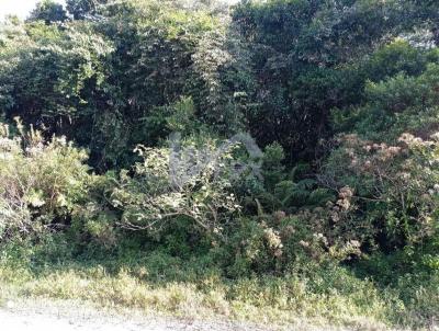 Chcara para Venda, em Itanham, bairro So Fernando