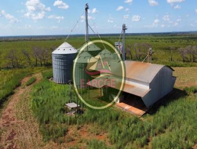 Fazenda para Venda, em Boa Vista, bairro 42 km da Capital