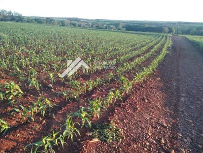 Granja para Venda, em Nova Santa Rosa, bairro Zona rural