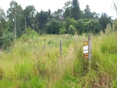 Terreno para Venda, em So Pedro, bairro Floresta Escura