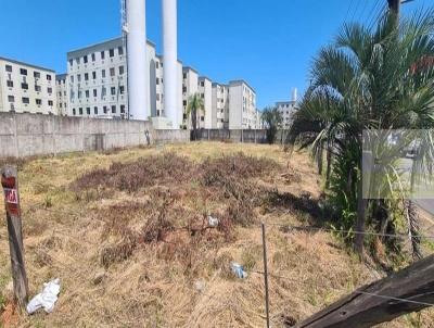 Terreno para Venda, em So Leopoldo, bairro Santos Dumont