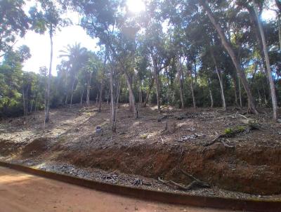 Terreno para Venda, em Terespolis, bairro Albuquerque