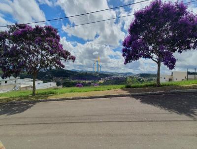 Terreno em Condomnio para Venda, em Juiz de Fora, bairro Vina Del Mar, 4 dormitrios, 5 banheiros, 4 sutes, 4 vagas