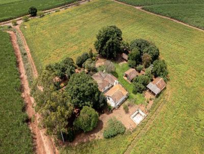 Terreno para Venda, em Santa Brbara d`Oeste, bairro Santo Antnio do Sapezeiro