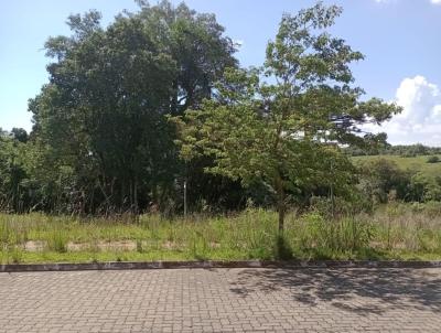 Terreno Urbano para Venda, em Nova Petrpolis, bairro Linha Imperial