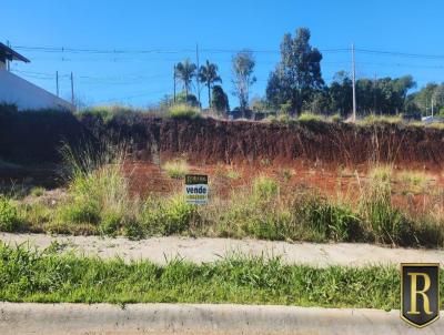Terreno para Venda, em Guarapuava, bairro Bairru das Cerejeiras