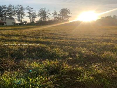 Lote para Venda, em Santa Brbara d`Oeste, bairro Santa Barbara