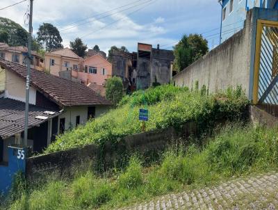 Terreno para Venda, em Ribeiro Pires, bairro Vila Sussa