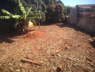 Terreno para Venda, em So Jos do Rio Preto, bairro Boa Vista