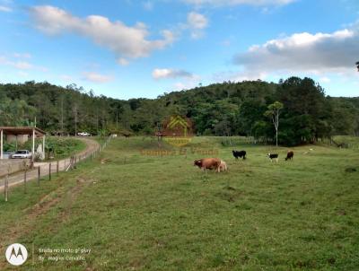 Stio para Venda, em Pariquera-Au, bairro ...