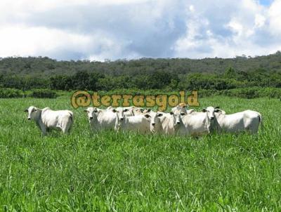 Stio para Venda, em Paranatinga, bairro Zona rural