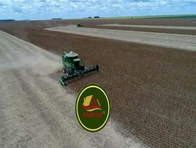 Fazenda para Venda, em Ponta Grossa, bairro FAZENDA COM 1.113 HECTARES