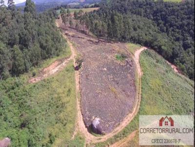 Terreno para Venda, em Piedade, bairro Colgio