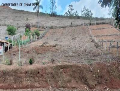 Terreno para Venda, em Bandeira do Sul, bairro Augusto de Almeida