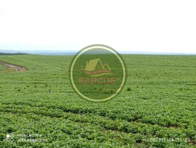 Fazenda para Venda, em Ipiranga, bairro Lustosa