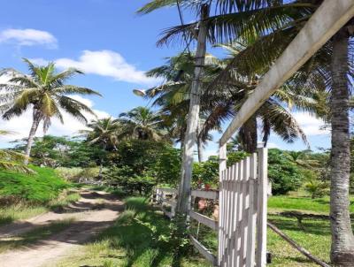 Stio para Venda, em Itabora, bairro Perbas (Pachecos)