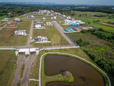 Terreno Urbano para Venda, em Nova Santa Rita, bairro Sanga Funda