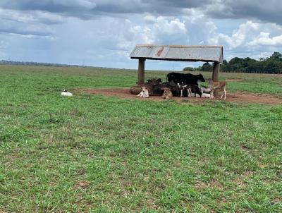 Fazenda para Venda, em Paranatinga, bairro Rural