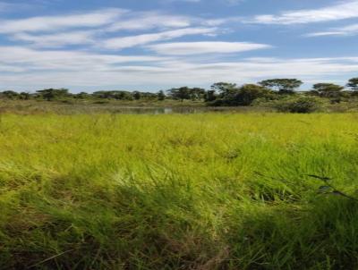 Fazenda para Venda, em Santo Antnio do Leverger, bairro Rural